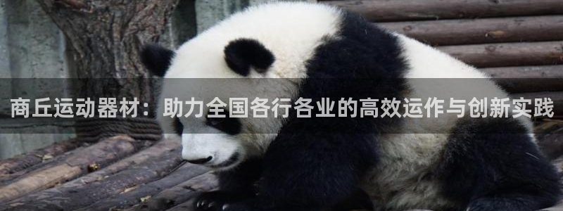 意昂体育4平台假的吗是真的吗吗:商丘运动器材:助力全国各行各