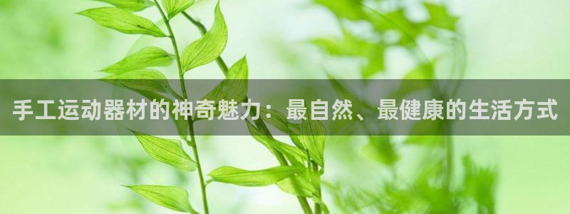 意昂体育4平台注册要钱吗:手工运动器材的神奇魅力:最自然、最